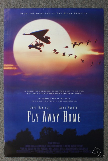 fly away home.JPG